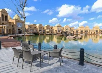 Түркістан облысы кәсіпкерлікті жүргізуге ыңғайлы ең үздік өңір деп танылды