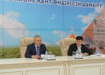 МЕМЛЕКЕТ ҚАНТ ҚЫЗЫЛШАСЫН ӨСІРУГЕ СУБСИДИЯЛАРДЫ КӨБЕЙТЕДІ