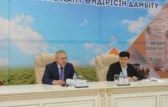 МЕМЛЕКЕТ ҚАНТ ҚЫЗЫЛШАСЫН ӨСІРУГЕ СУБСИДИЯЛАРДЫ КӨБЕЙТЕДІ