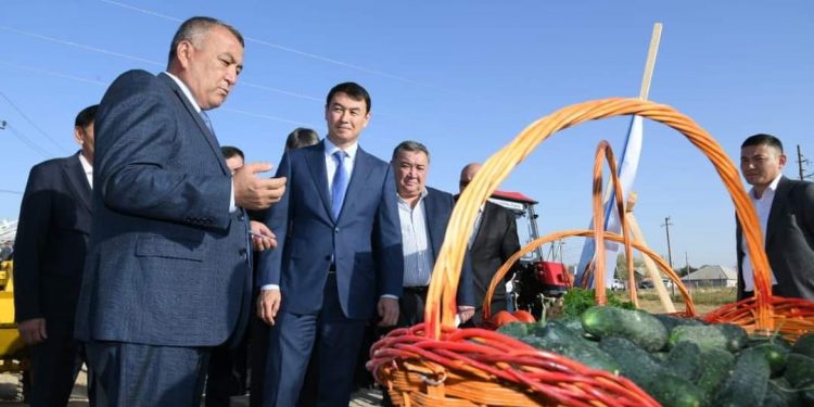 Түркістан: Келестегі кәсіпорында жылыжай шаруашылығына қажетті заттар шығарылады