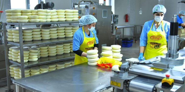 Түркістан облысында негізгі әлеуметтік-экономикалық көрсеткіштер бойынша қарқынды өсім бар