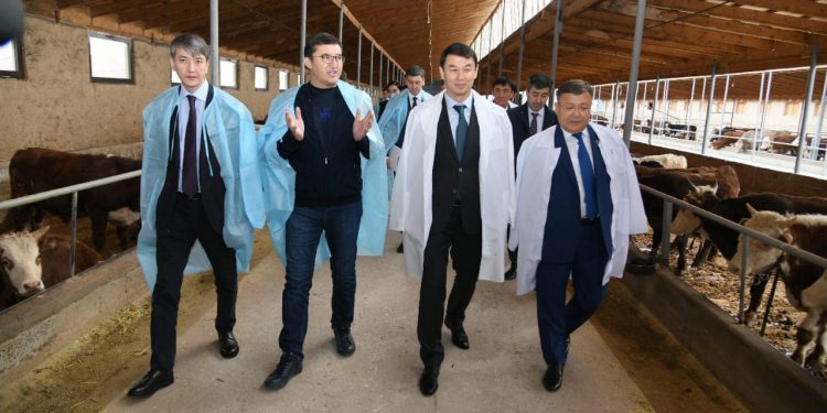 ДАРХАН САТЫБАЛДЫ ПОЛОЖИТЕЛЬНО ОЦЕНИЛ ИНИЦИАТИВЫ В САЙРАМСКОМ РАЙОНЕ