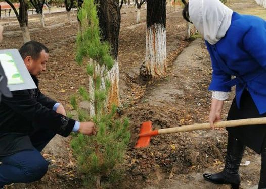 «ЖАСЫЛ ЧЕЛЛЕНДЖ» ІС-ШАРАСЫ ТҮРКІСТАНДА ЖАЛҒАСТЫ