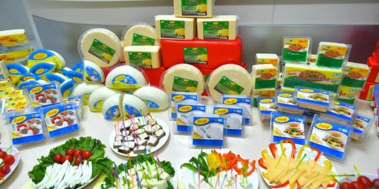 Түркістан облысында ірімшік өндірісі дамуда