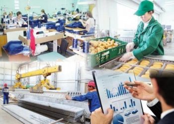 Түркістан облысында ерекше кәсіпке қолдау көп