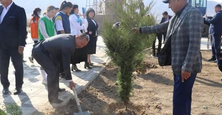 Түркістан: Республика күніне орай 300 түп шырша ағашы отырғызылды