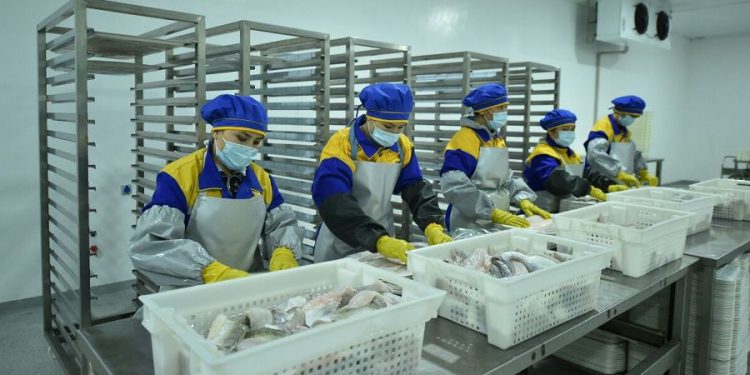 Түркістан облысы –балық шаруашылығын дамытудан көшбасшы