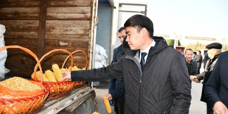 “АЛТЫН КҮЗ-2022”: ОРДАБАСЫДА АУЫЛШАРУАШЫЛЫҚ САЛАСЫНДАҒЫ ЖЕТІСТІКТЕР АЙШЫҚТАЛДЫ