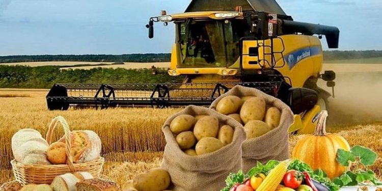 ТҮРКІСТАН: САУРАНДА АУЫЛ ШАРУАШЫЛЫҒЫ САЛАСЫНДА 5 ІРІ ИНВЕСТИЦИЯЛЫҚ ЖОБА ІСКЕ АСПАҚ