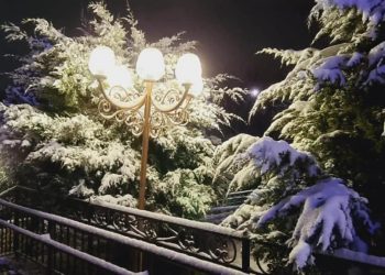 Шымкентте жарықшамдар жаңартылды