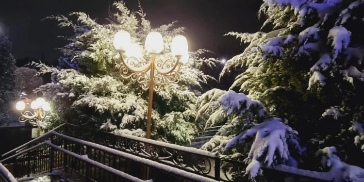 Шымкентте жарықшамдар жаңартылды