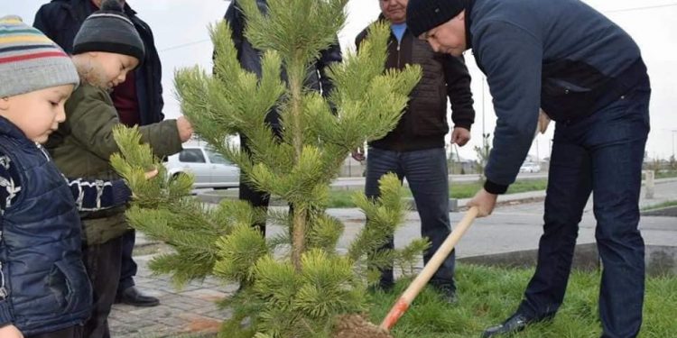 ТҮРКІСТАНДА «ОТБАСЫҢМЕН ОН ТАЛ ЕК» ЭКО-АКЦИЯСЫ ЖАЛҒАСЫН ТАПТЫ