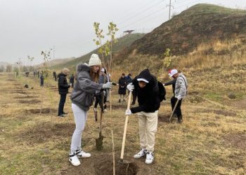 Шымкент: Ассамблея жастары 160 мың түп ағаш егу акциясын бастады
