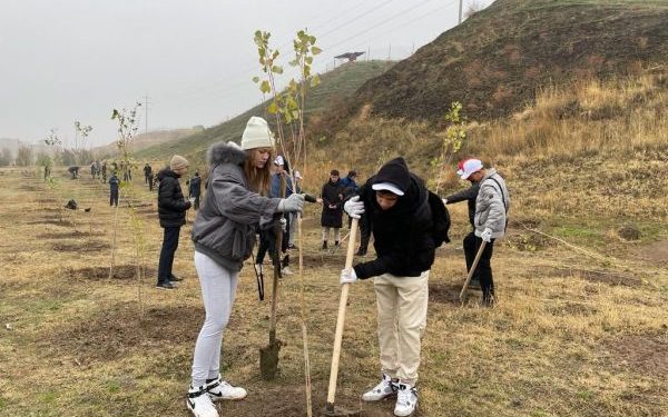 Шымкент: Ассамблея жастары 160 мың түп ағаш егу акциясын бастады