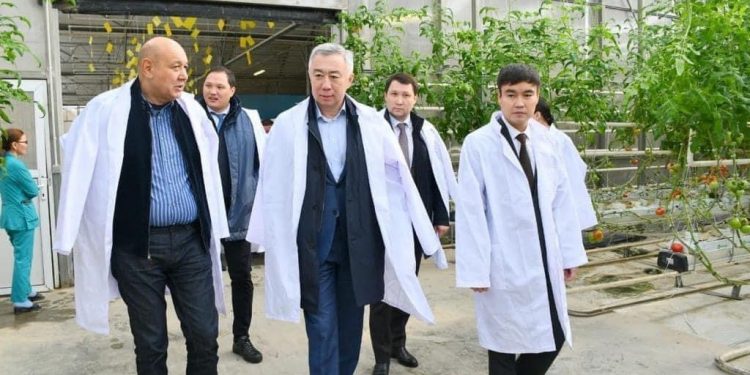 ВИЦЕ-ПРЕМЬЕР ТҮРКІСТАН ОБЛЫСЫНДАҒЫ ЖЫЛЫЖАЙ ЖҰМЫСЫМЕН ТАНЫСТЫ