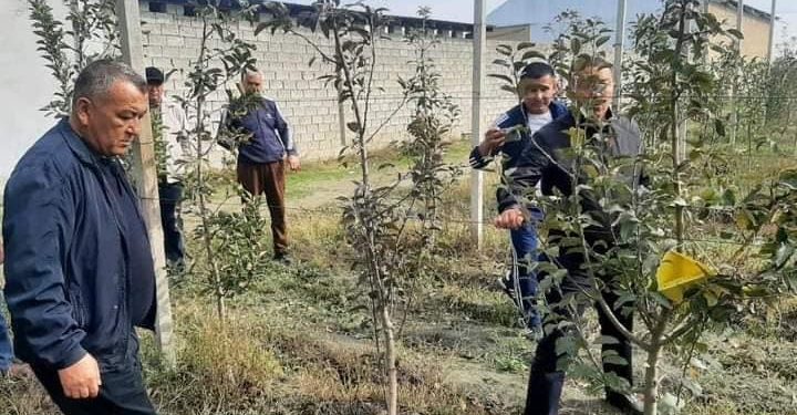 ТҮРКІСТАН: КЕЛЕСТІК ШАРУАЛАР ӨЗБЕКСТАНҒА КЕТТІ