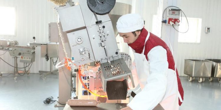 Қазығұрт ауданында шұжық шығаратын өндіріс орны бар