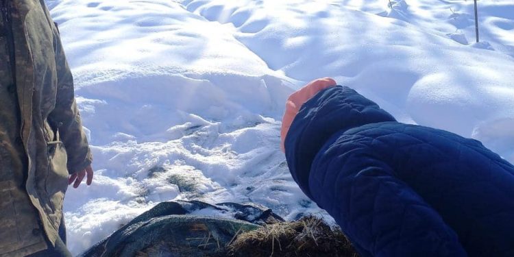 ТҮРКІСТАН: ҚАЗЫҒҰРТТА ТАБИҒИ ТЫҢАЙТҚЫШ ӨНДІРУ ДАМЫП КЕЛЕДІ