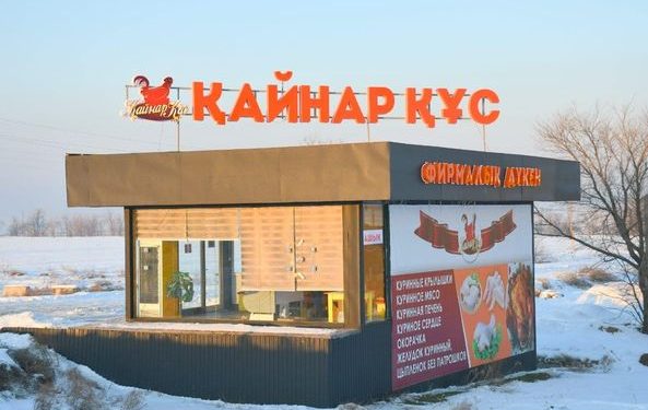 ТҮРКІСТАН: ОРДАБАСЫДАҒЫ «ҚАЙНАР ҚҰСТЫҢ» ӨНІМІНЕ СҰРАНЫС АРТЫП КЕЛЕДІ