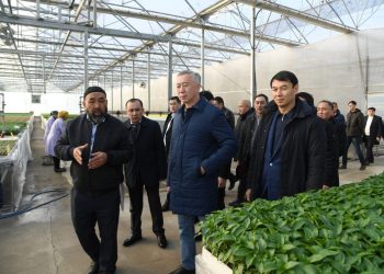 Серик Жумангарин встретился с владельцами теплиц Туркестанской области