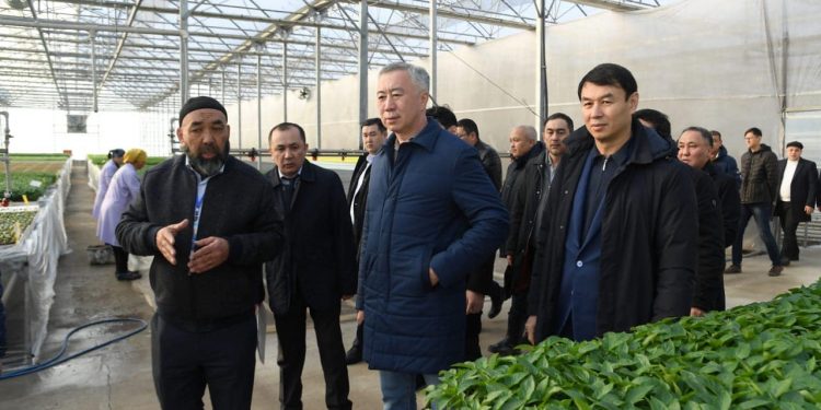 Серик Жумангарин встретился с владельцами теплиц Туркестанской области