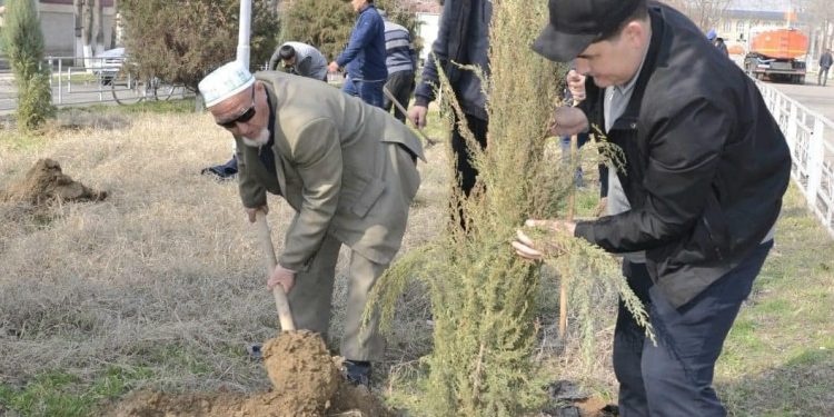 ТҮРКІСТАН: ЖЕТІСАЙДА БІР КҮНДЕ 13 МЫҢ КӨШЕТ ОТЫРҒЫЗЫЛДЫ