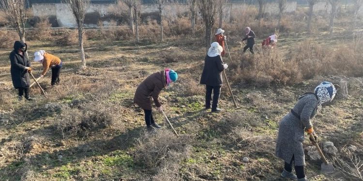 ТҮРКІСТАН: ЖЕТІСАЙ АУДАНЫНДА ТАЗАЛЫҚ ЖҰМЫСТАРЫ ТОҚТАУСЫЗ ЖҮРГІЗІЛУДЕ