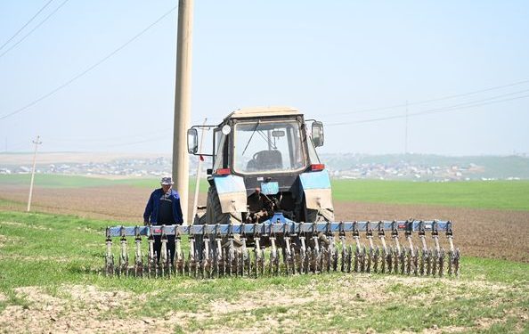 ШЫМКЕНТ: КӨКТЕМНІҢ ӘР КҮНІ ЖЫЛҒА АЗЫҚ