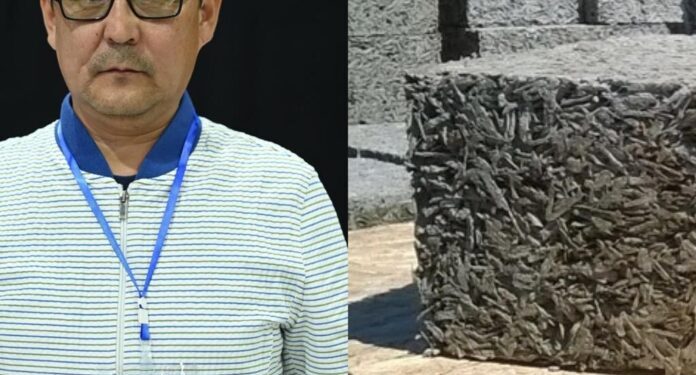 Шымкентец запустил производство ECO строительных блоков