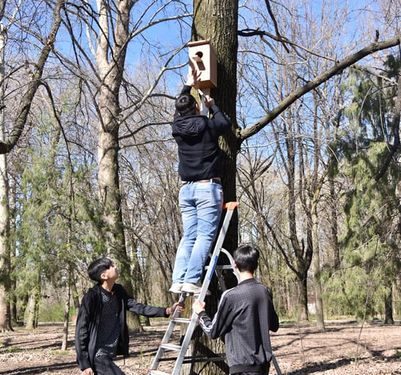 ШЫМКЕНТТІК ОҚУШЫЛАР ДЕНДРОСАЯБАҚҚА ҚҰС ҰЯЛАРЫН ОРНАТТЫ