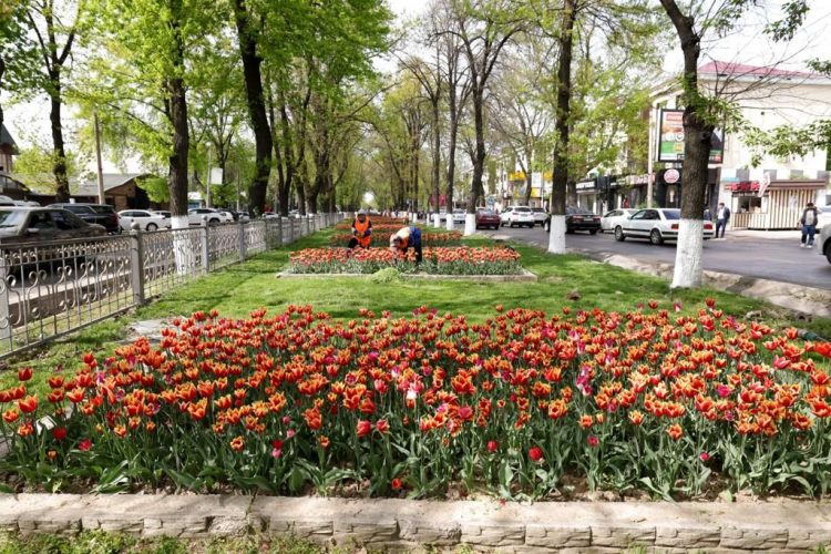 МҰРАТ ӘЙТЕНОВ: «ҚАЛАНЫ ЖАСЫЛ ЖЕЛЕККЕ АЙНАЛДЫРУ КЕРЕК»