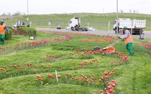 Третий мегаполис может стать самым зеленым городом в стране