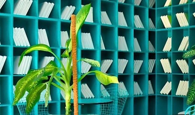 ШЫМКЕНТ: Орталықтандырылған кітапхана қорында балалар әдебиеті 390 мыңнан асады