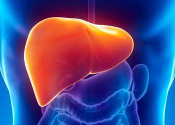 Гепатит аурушаңдығының алдын алу