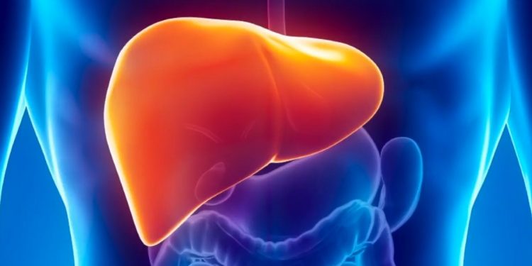 Гепатит аурушаңдығының алдын алу