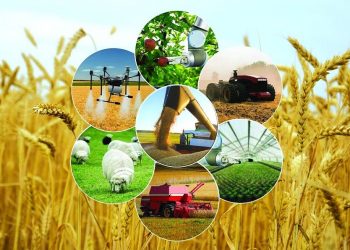 ПРЕЗИДЕНТ РЕФОРМАСЫ: АУЫЛ ТҰРҒЫНДАРЫНЫҢ ТАБЫСЫН АРТТЫРУ ЖОБАСЫ ІСКЕ АСЫП ЖАТЫР