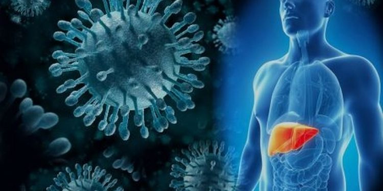 Гепатит аурушаңдығының алдын алу