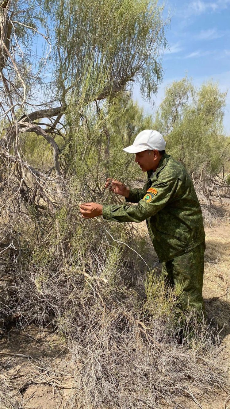 ТҮРКІСТАН: ОТЫРАРДА СЕКСЕУІЛ АЛҚАБЫН ҰЛҒАЙТУ АРҚЫЛЫ ҚҰМ КӨШКІНІ САЯБЫРСЫДЫ