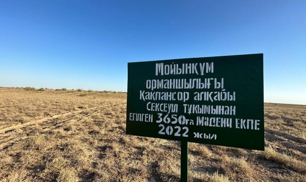 ТҮРКІСТАН: СОЗАҚ ДАЛАСЫ СЕКСЕУІЛ АЛҚАБЫНА АЙНАЛАДЫ