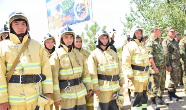 ​В Шымкенте прошли пожарно-тактические учения по предупреждению лесостепных пожаров