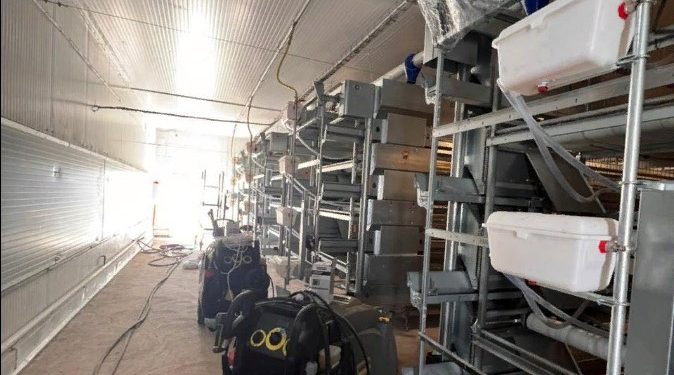 Шымкентте құс қалдықтарынан биоотын дайындау жоспарланып отыр