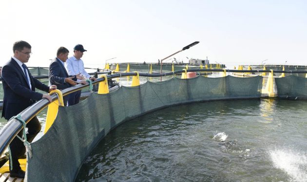 ШАРДАРАНЫҢ БАЛЫҒЫН БАКЛАН ЖЕП ЖАТЫР