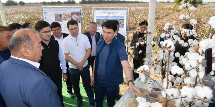 ТҮРКІСТАН ОБЛЫСЫНДА «АУЫЛ АМАНАТЫ» ЖОБАСЫ ЖҮЗЕГЕ АСҚАЛЫ АӘК АЛУШЫЛАР АЗАЮДА