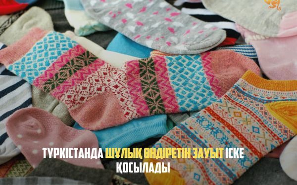 ТҮРКІСТАНДА ШҰЛЫҚ ӨНДІРЕТІН ЗАУЫТ ІСКЕ ҚОСЫЛАДЫ