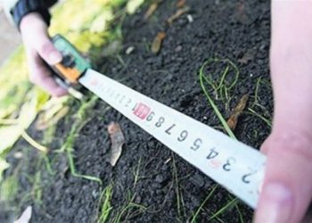 ТҮРКІСТАН: ЖЕТІСАЙДА 351 ГЕКТАР ЖЕР МЕМЛЕКЕТКЕ ҚАЙТАРЫЛАДЫ