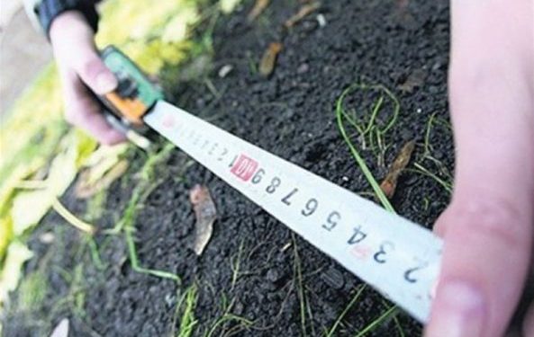 ТҮРКІСТАН: ЖЕТІСАЙДА 351 ГЕКТАР ЖЕР МЕМЛЕКЕТКЕ ҚАЙТАРЫЛАДЫ