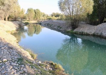 ТҮРКІСТАН: ТҮЛКІБАС АУДАНЫНДА БАЛЫҚ ӨСІРУМЕН АЙНАЛЫСАТЫН ШАРУАШЫЛЫҚ КӨБЕЙДІ