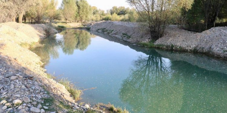 ТҮРКІСТАН: ТҮЛКІБАС АУДАНЫНДА БАЛЫҚ ӨСІРУМЕН АЙНАЛЫСАТЫН ШАРУАШЫЛЫҚ КӨБЕЙДІ