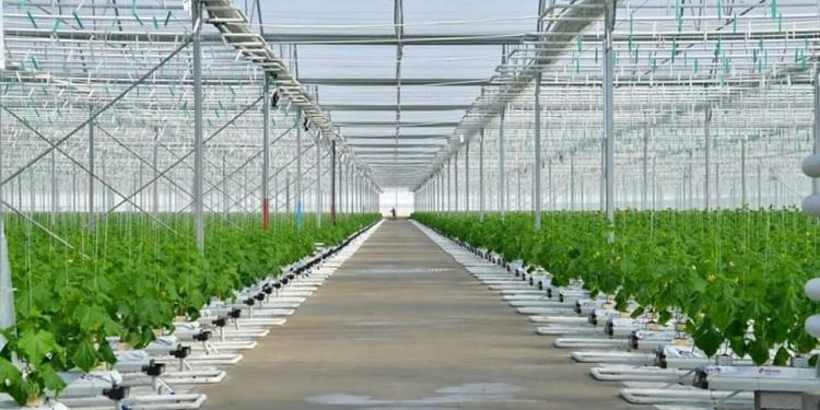 ЕЛІМІЗДЕГІ АГРОҚҰРЫЛЫМДАРДЫҢ 33 ПАЙЫЗЫ ТҮРКІСТАН ОБЛЫСЫНДА