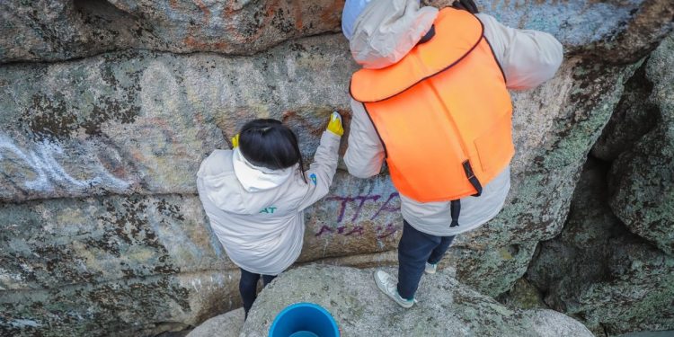 «Вандализмге жол жоқ»: 15 тәулікке дейін қамауға алу жазасы көзделген